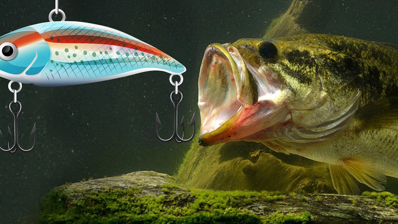 Do Bigger Baits Catch Bigger Fish? Let's Find Out!