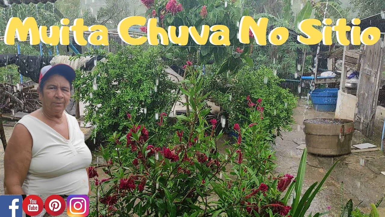 SITIO ONDE  PRODUZ CAFE  PIMENTA DO REINO E PITAYA -  SITE PRODUCE COFFEE KINGDOM PEPPER AND PITAYA.