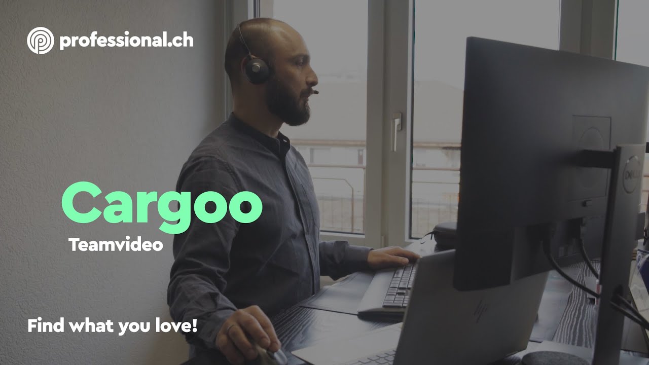 Arbeiten bei Cargoo: Teamgeist und Technologie weltweit vereint | professional.ch