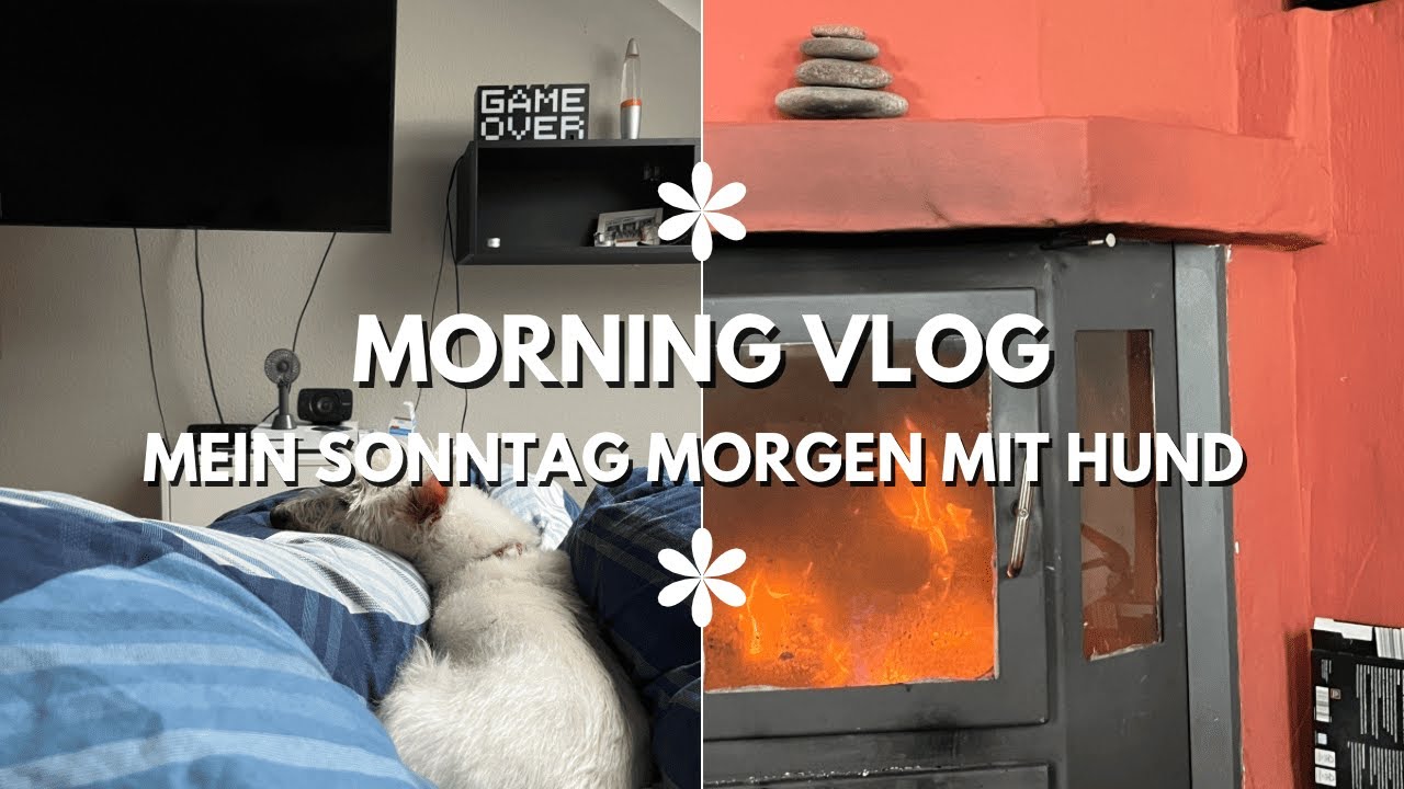 Mein gemütlicher Sonntag mit Hundesitten, Kamin & Harry Potter 🍂🐾