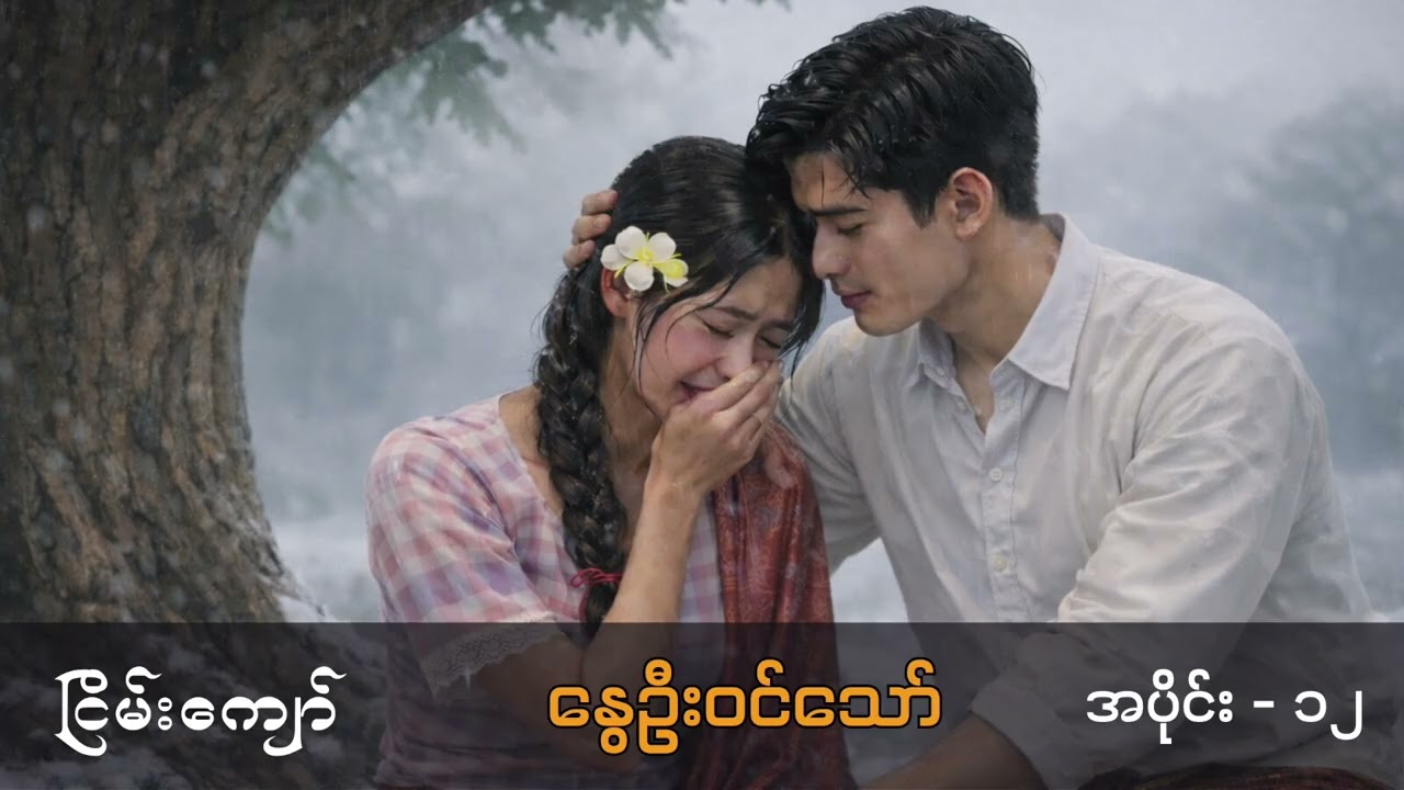 နွေဦးဝင်သော် - ငြိမ်းကျော် (အပိုင်း -၁၂)