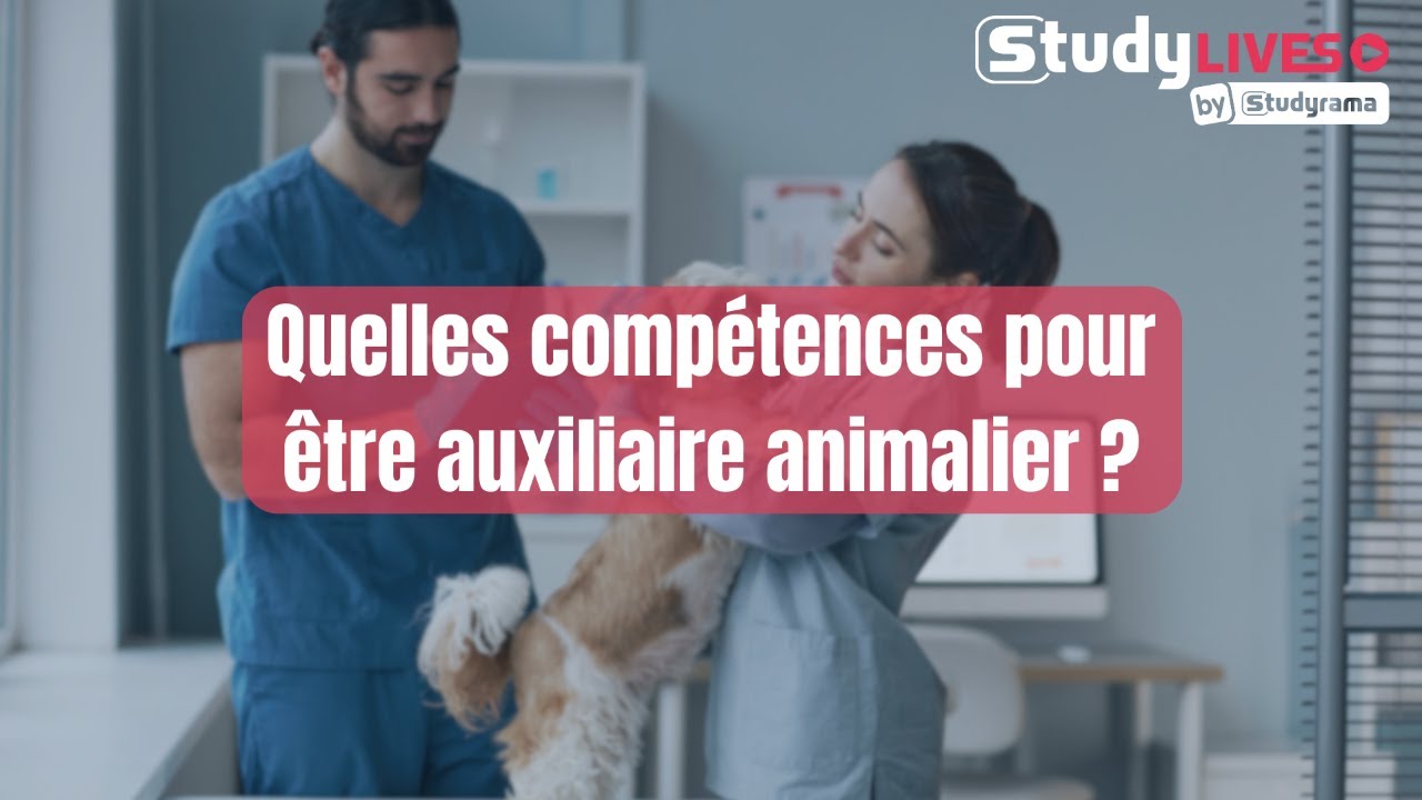 Quelles compétences pour être auxiliaire animalier ?