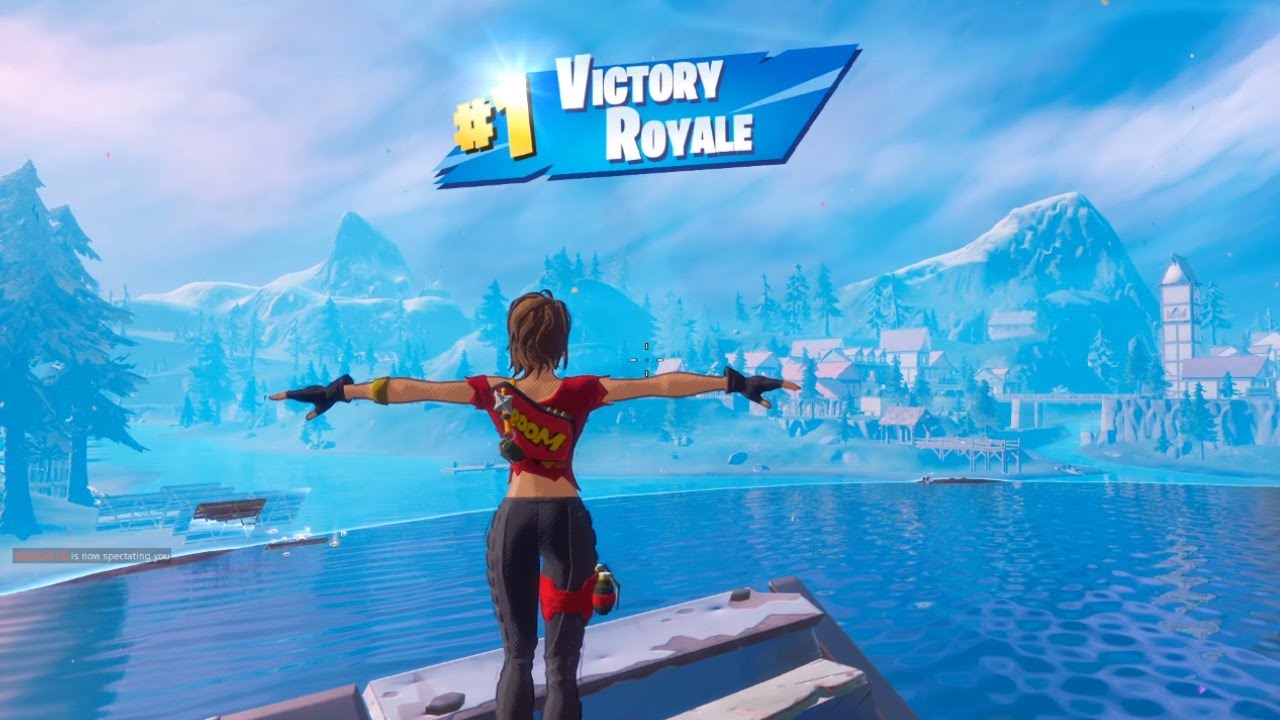 FORTNITE First Win with 