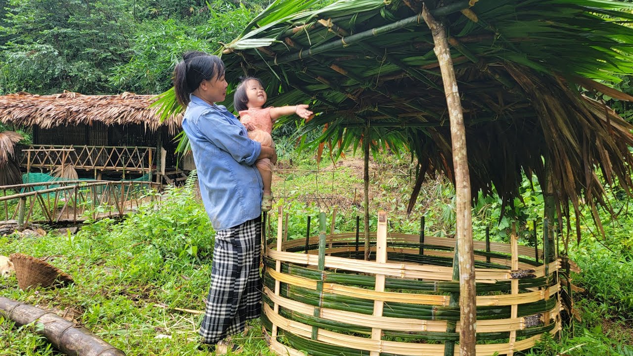 Phuong Anh and his mother built a duck coop using bamboo trees