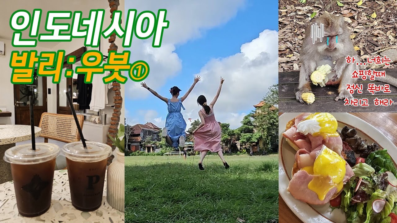 🇲🇨발리 우붓💚대한항공에 사육당하기✈️쇼핑할 때 꼭 정신차리고 하세요🥹예쁜 카페, 몽키 포레스트, 투키스 코코넛샵, 피손, 우버 배달