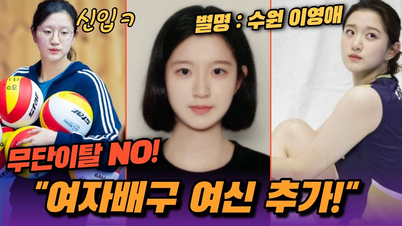 수원 이영애다!!  여자배구 여신 이다현, 당신이 몰랐던 11가지 사실