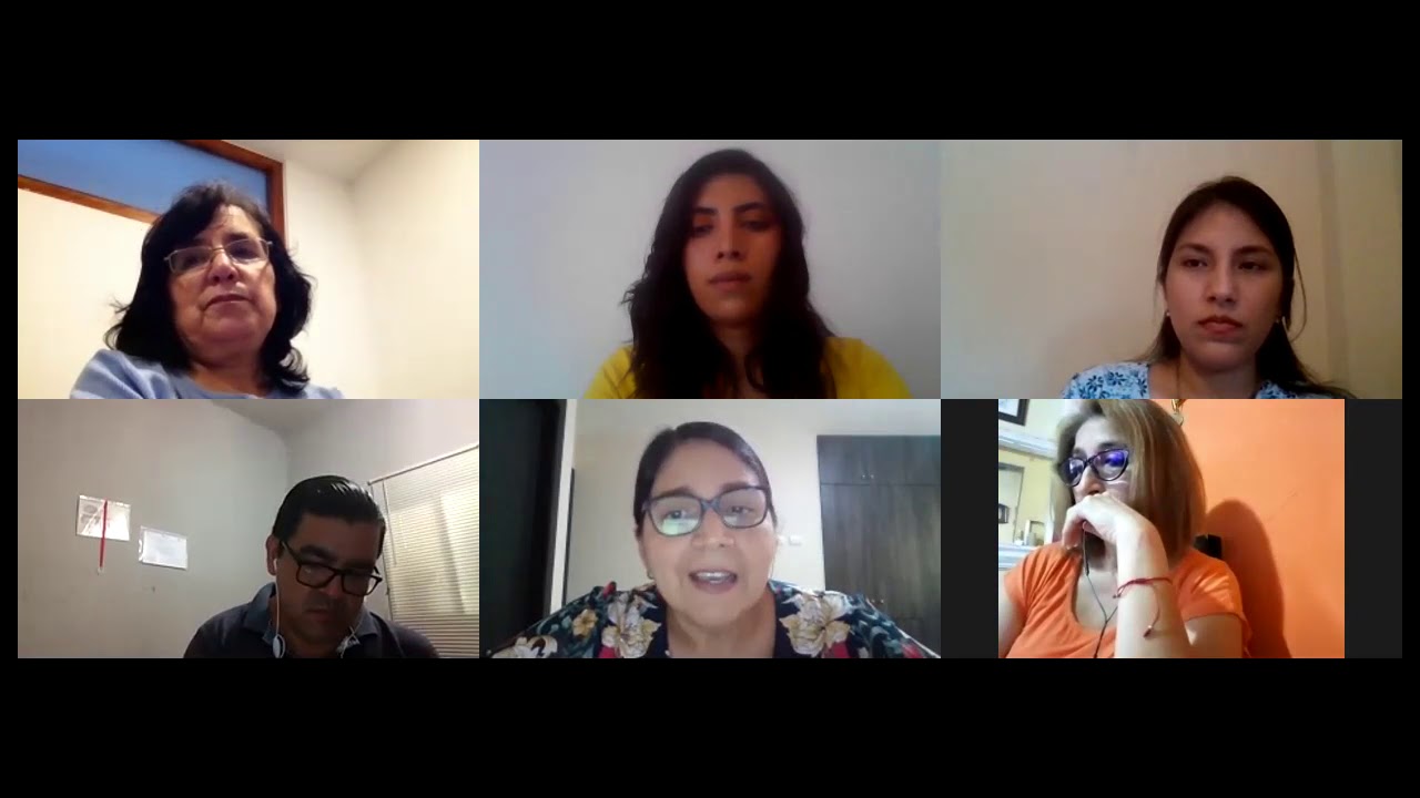 Videollamada N°1 Curso - Introducción a la enseñanza en contextos poco privilegiados.