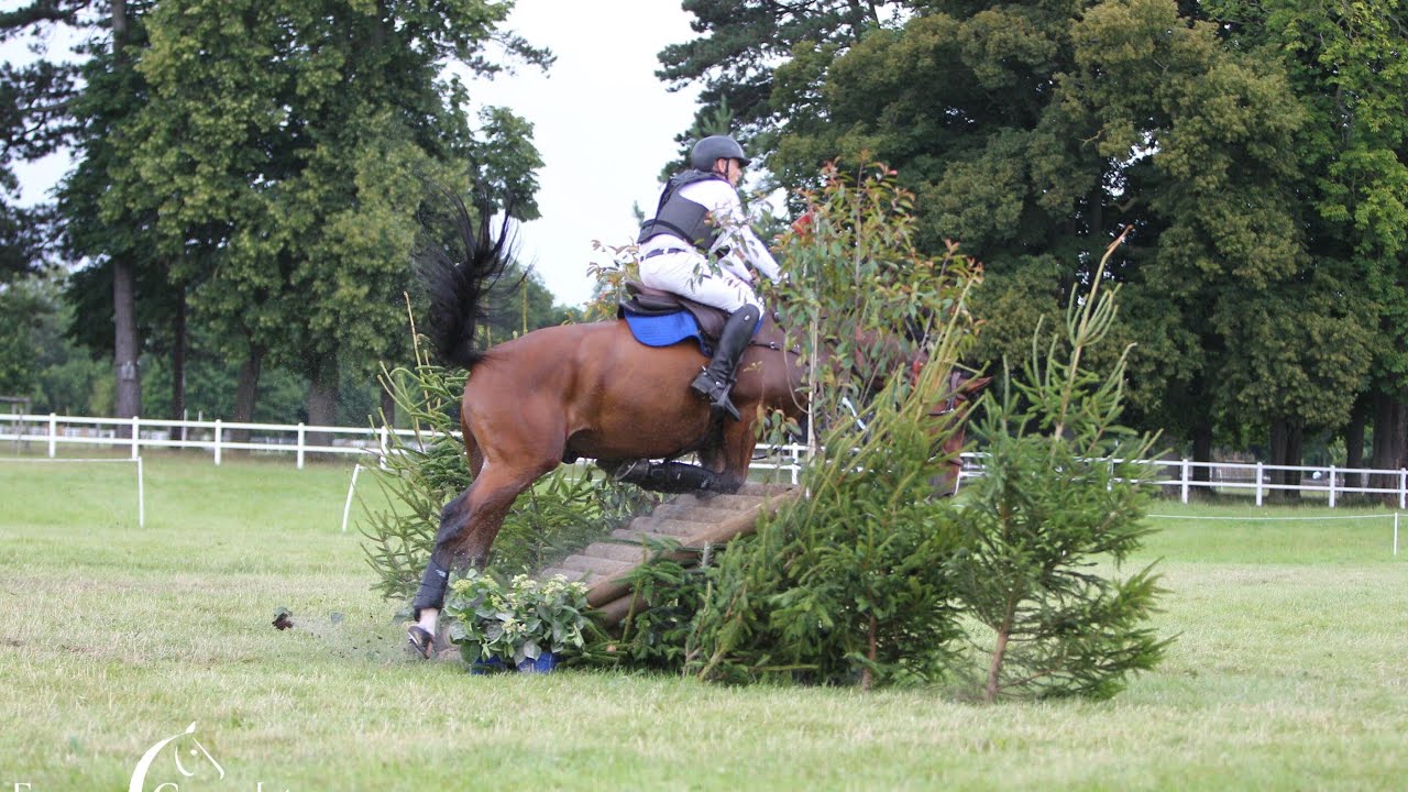 Cross Pro4 Jardy - 15 Juillet 2024