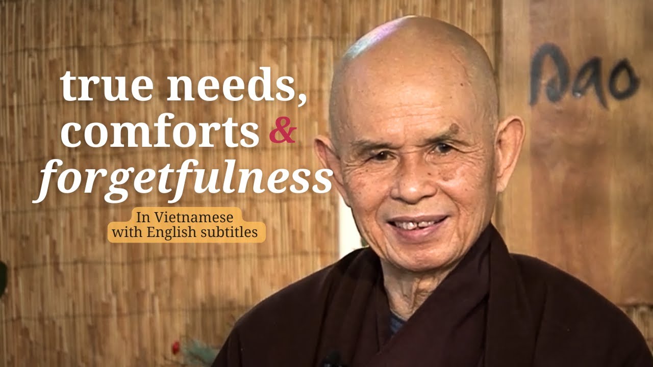 “Don’t Look At Other People and Compare!” | Talk by Thich Nhat Hanh (EN subtitles)