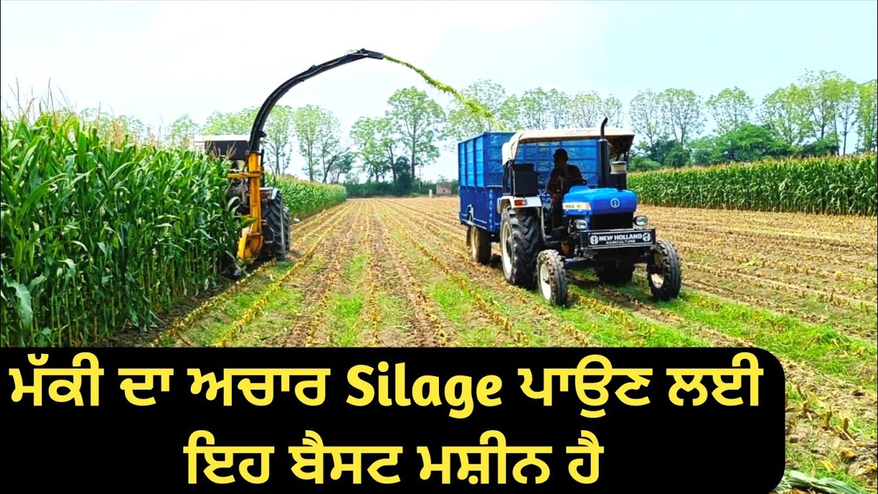 ਮੱਕੀ ਦਾ ਅਚਾਰ ( Silage ) ਪਾਉਣ ਲਈ ਇਹ ਬੈਸਟ ਮਸ਼ੀਨ ਹੈ । best machine for silage | Farmer TV |
