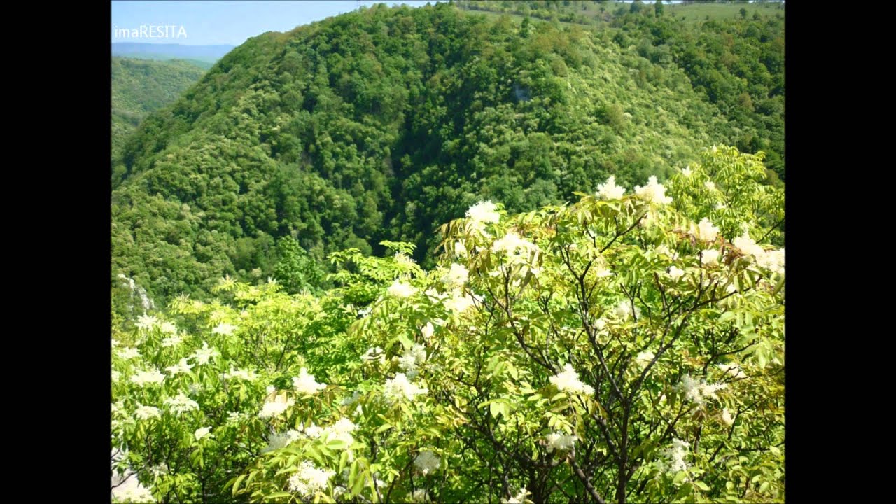CARAŞOVA - Cetatea Grat