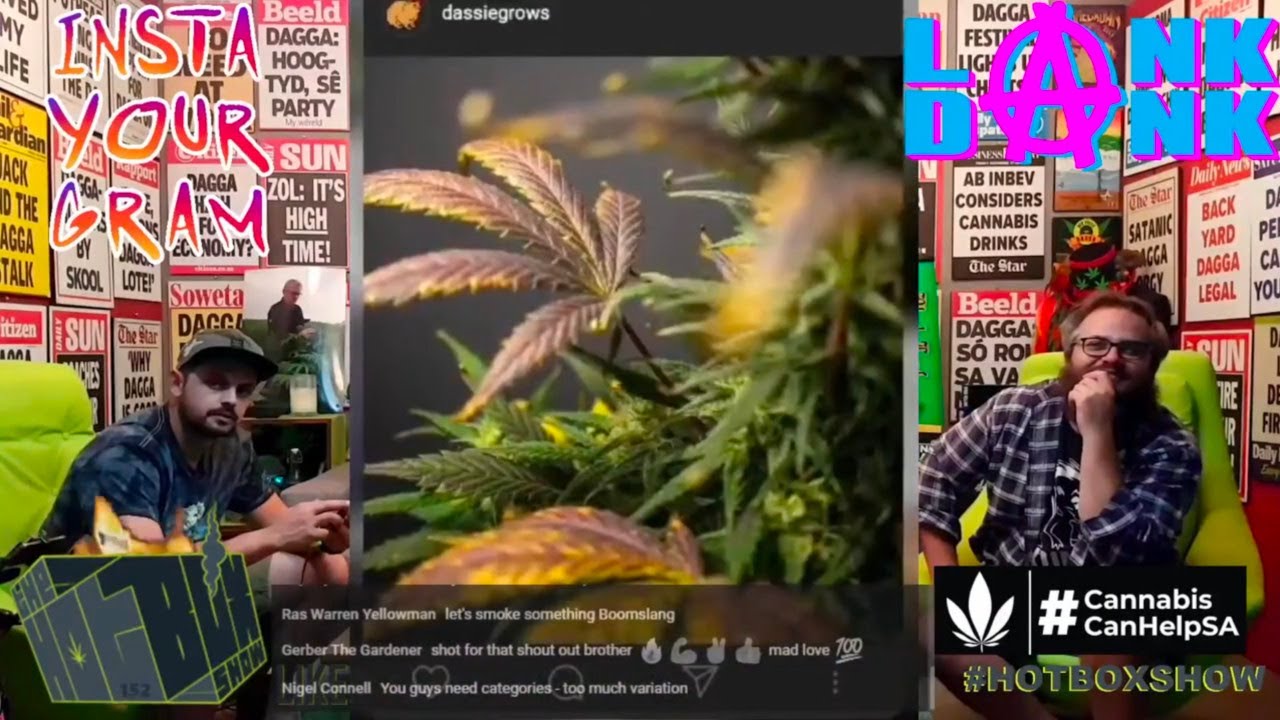 #InstaYourGram - Ep152 - @dassiegrows