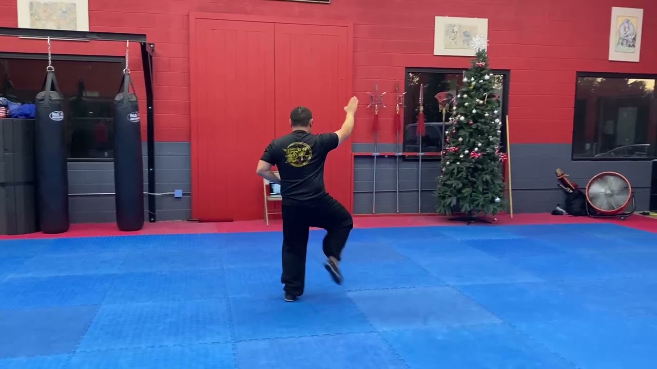 Shaolin 13 Fists