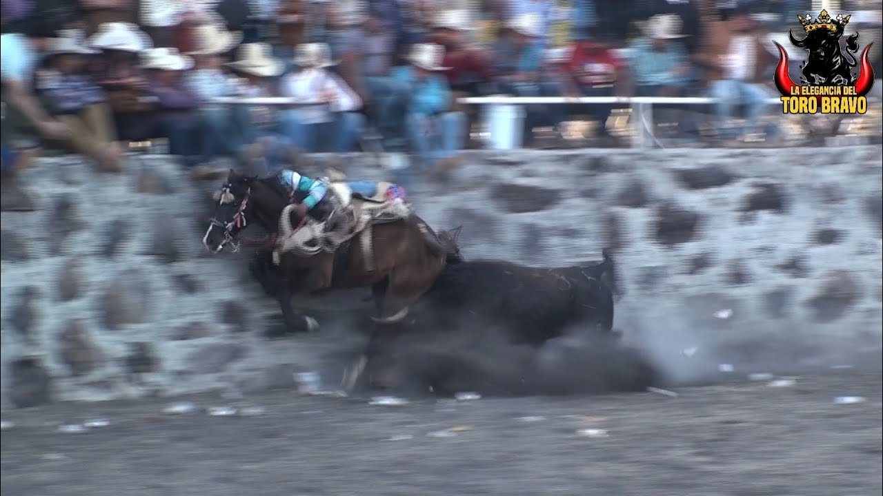 LA COSTEÑA DE BARAJAS, APASEO EL ALTO 31/DIC/2025 JARIPEO VOL 12