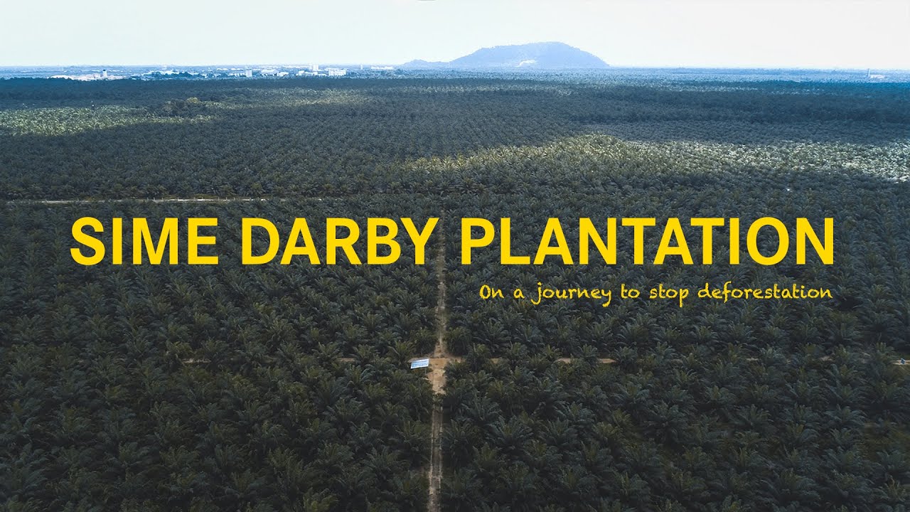 Sime Darby Plantation &ndash; On a journey to stop deforestation and transforming the industry