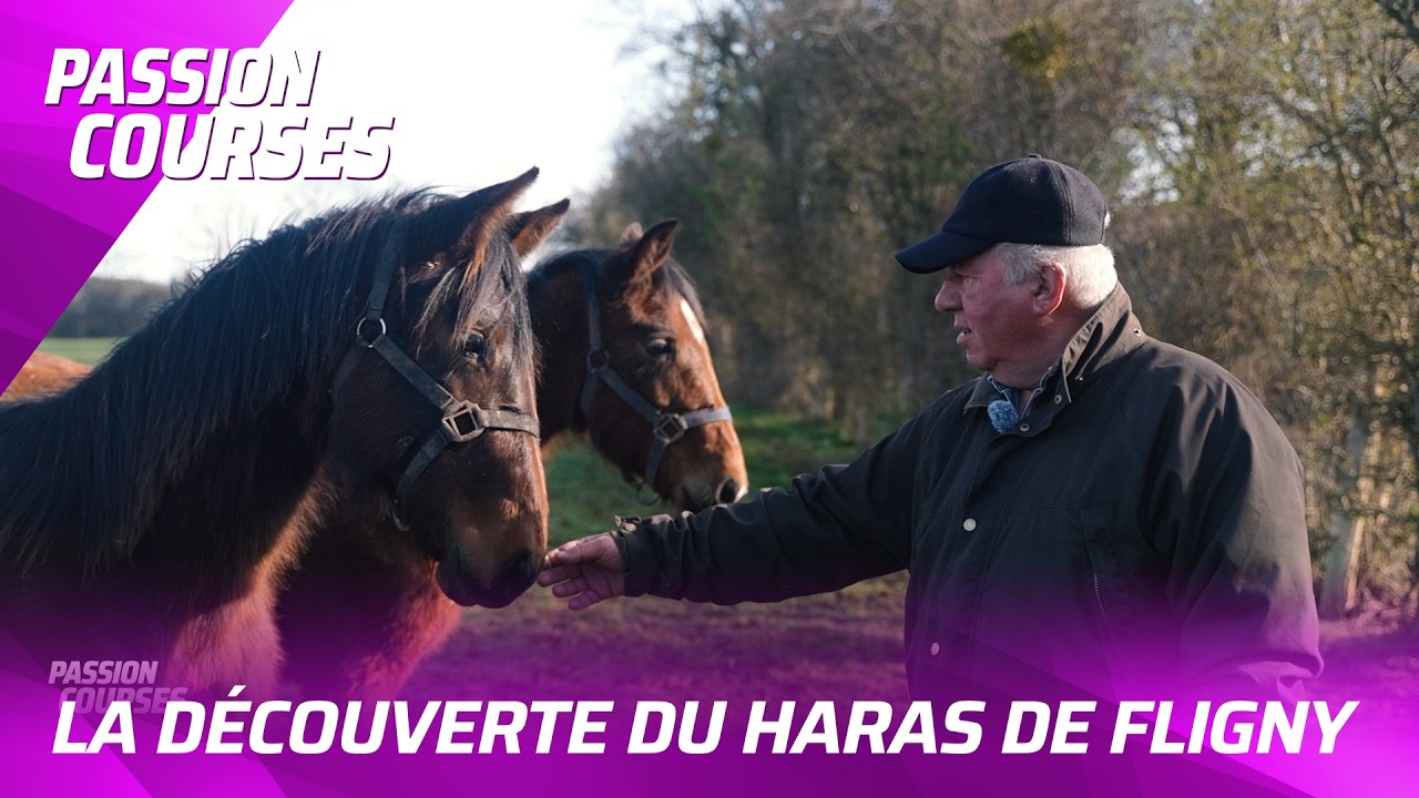 REPORTAGE - À LA DÉCOUVERTE DU HARAS DE FLIGNY