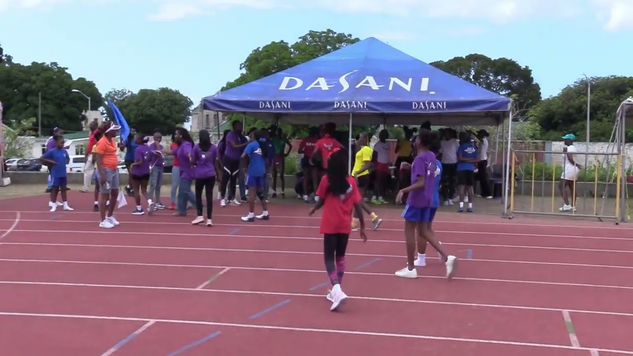 Purple House лидирует в турнирной таблице Springer Memorial Sports с 408 очками.