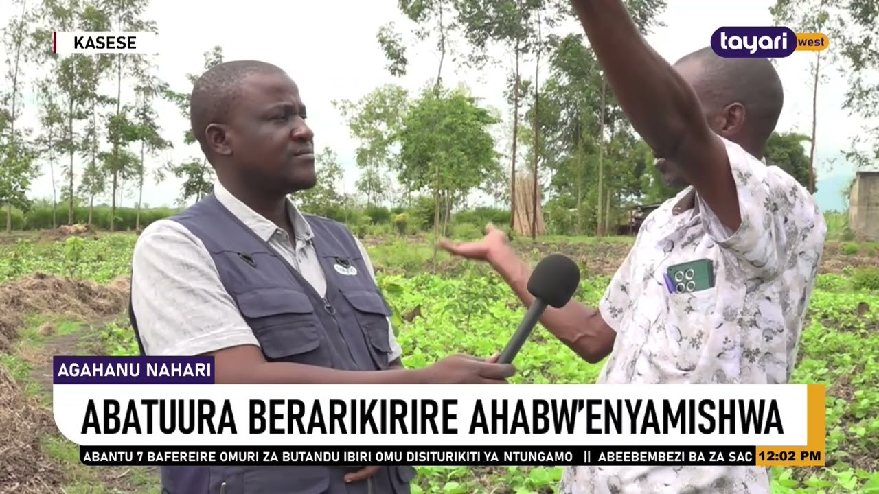 #AGAHANUNAHARA: ABATUURA BERARIKIRIRE AHABW'EBINYAMISHWA -   KASESE