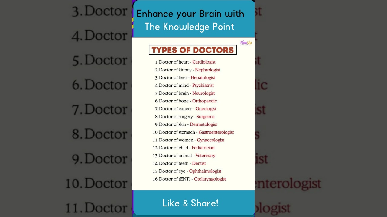 The Knowledge Point
