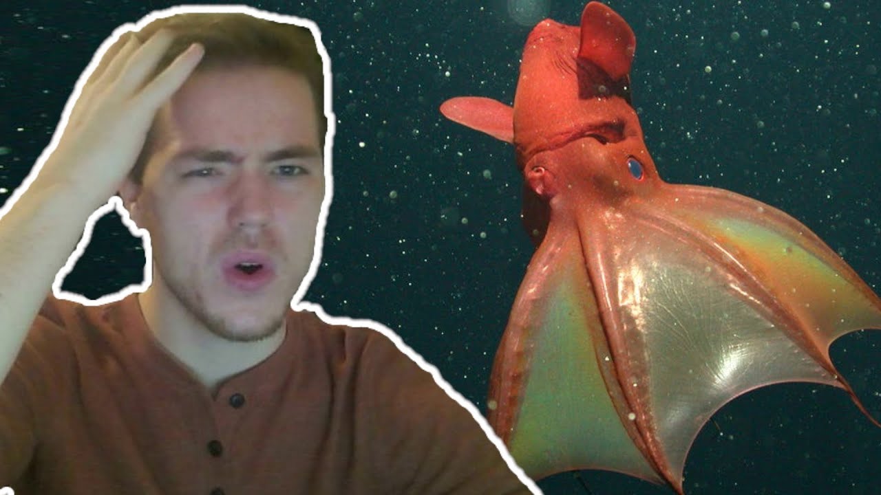 Fish Biologist reacts to 
