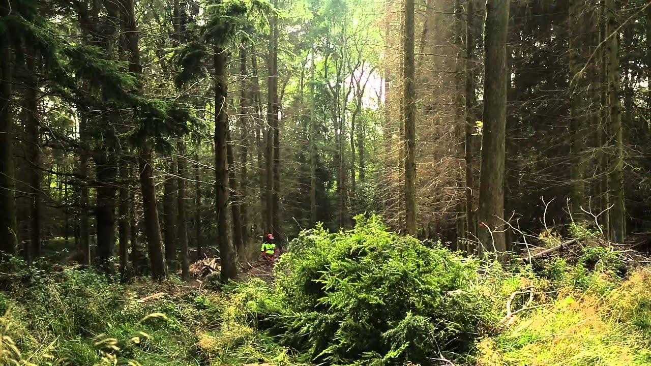 Forest Industry Safety Accord (FISA) video