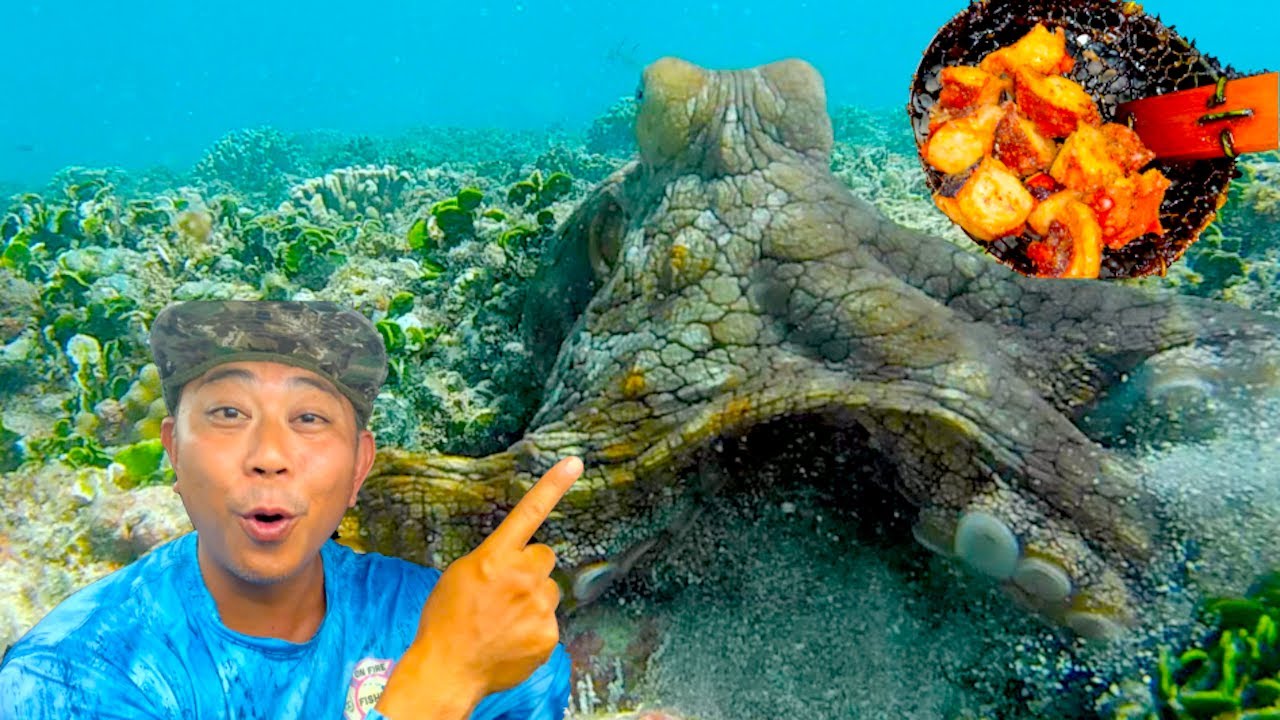 FAMOUS POPCORN TAKO, HAWAII CATCH AND COOK VLOG, SPEARFISHING HAWAII, Ep102