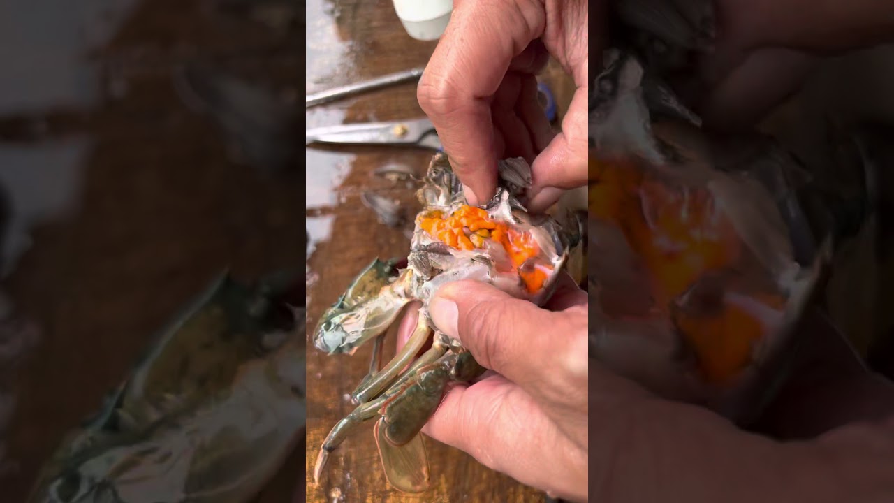 如何處理活螃蟹！紅蟳 沙公 沙母 任何螃蟹都可以！最乾淨的吃法
