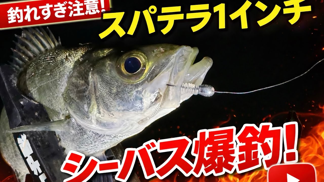 【必見】コレが爆釣ワーム...  #fishing #aging #スパテラ