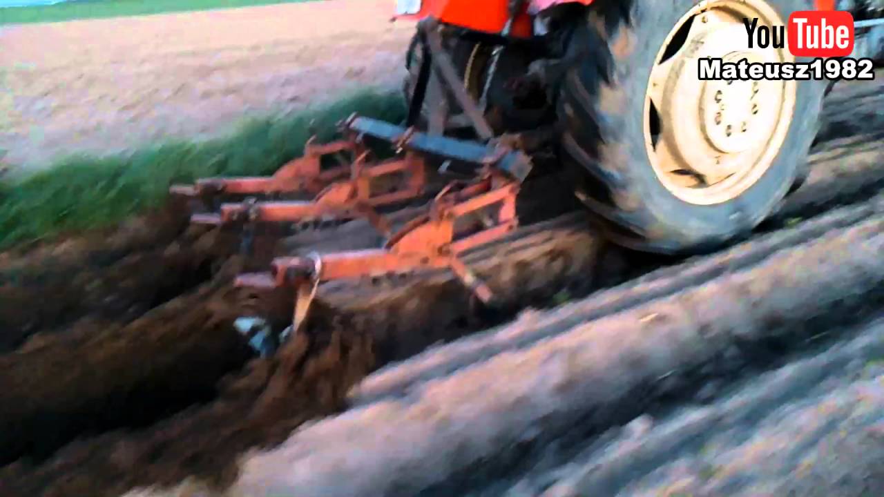 Obsypywanie ziemniaków 2016 Ursus c - 330 & obsypnik