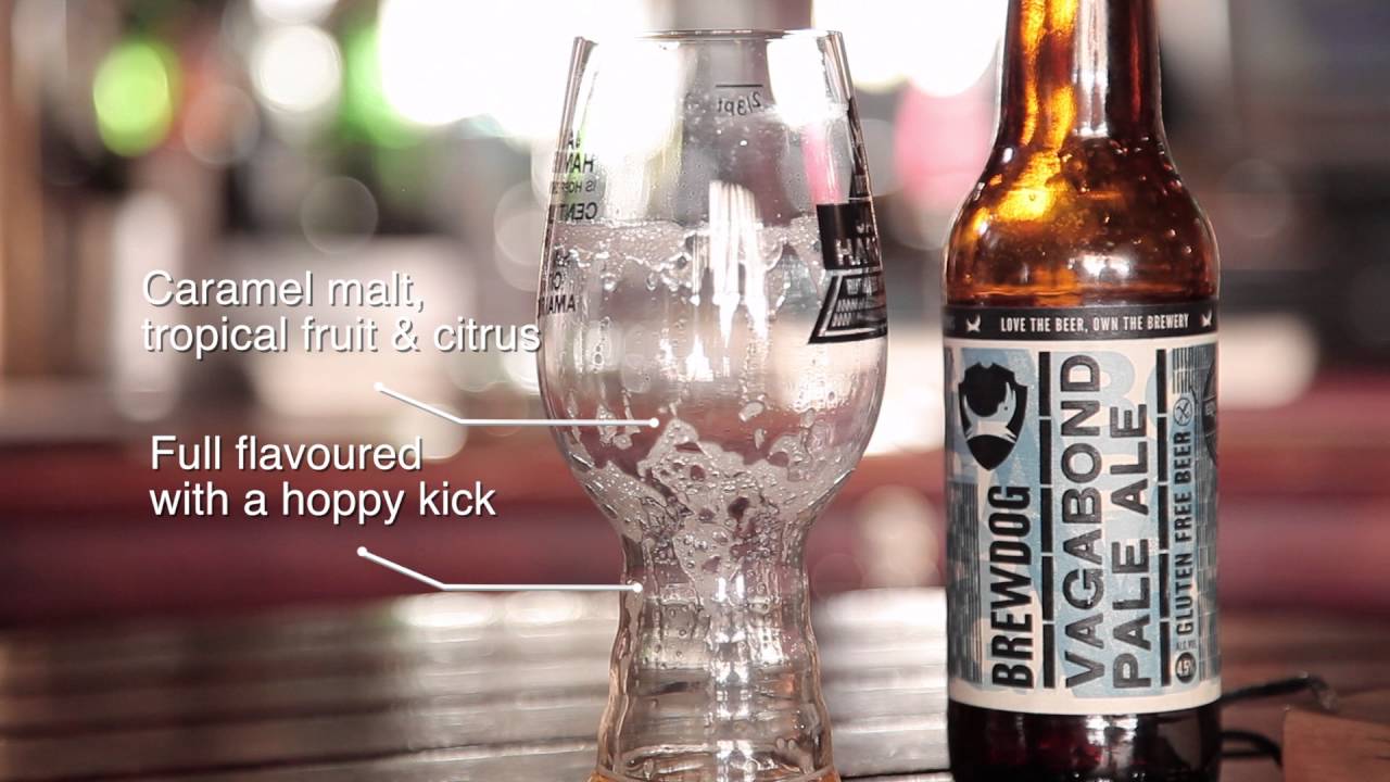 A Pub Crawl Though Cape Town with Brewdog