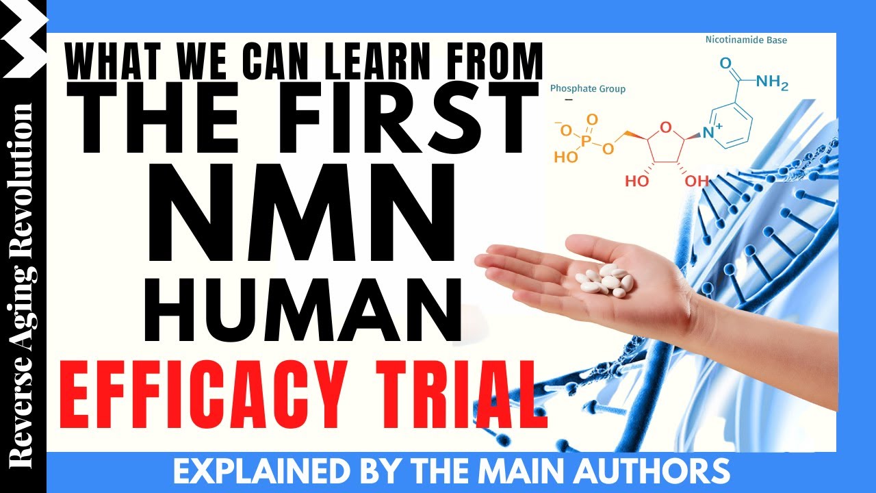 WHAT We Can Learn From the 1ST NMN HUMAN EFFICACY Trial | Explained By The Main Authors