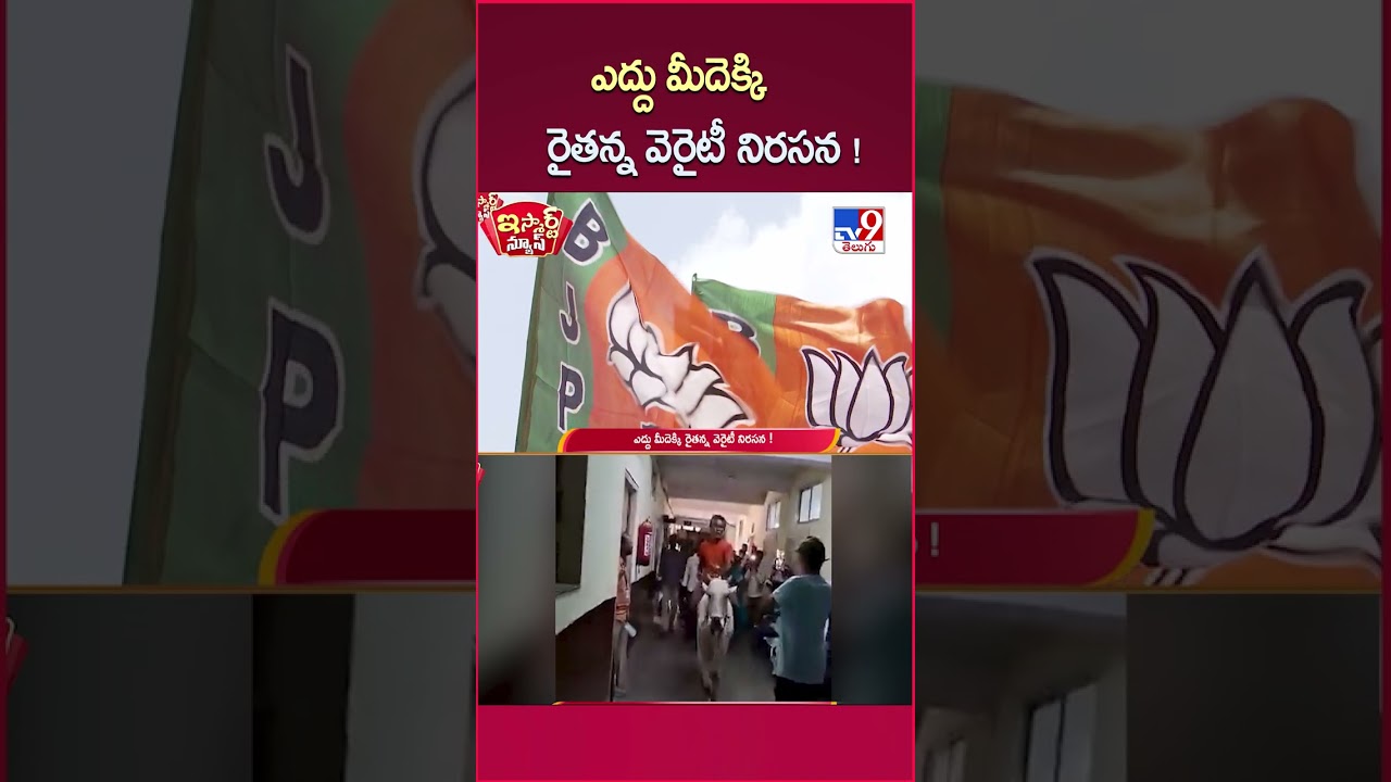 iSmart News : ఎద్దు మీదెక్కి రైతన్న వెరైటీ నిరసన ! | Farmer Protest For Runa Mafi | OX - TV9