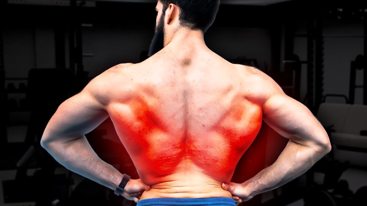The Smartest Back Workout (Science-Based)
