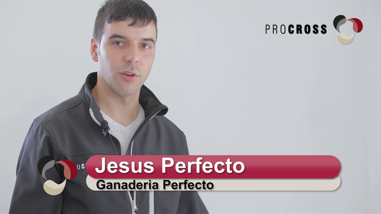 Ganaderia Perfecto Galicia Spain - ProCROSS
