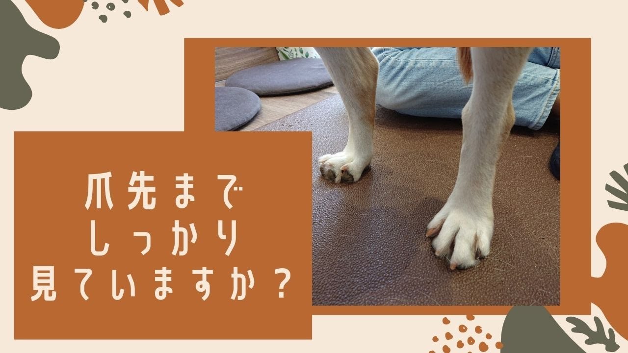 爪先までしっかり見ていますか？