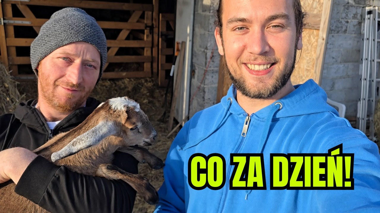 Mieliśmy profesjonalną sesję zdjęciową z KOZAMI ! życie na wsi