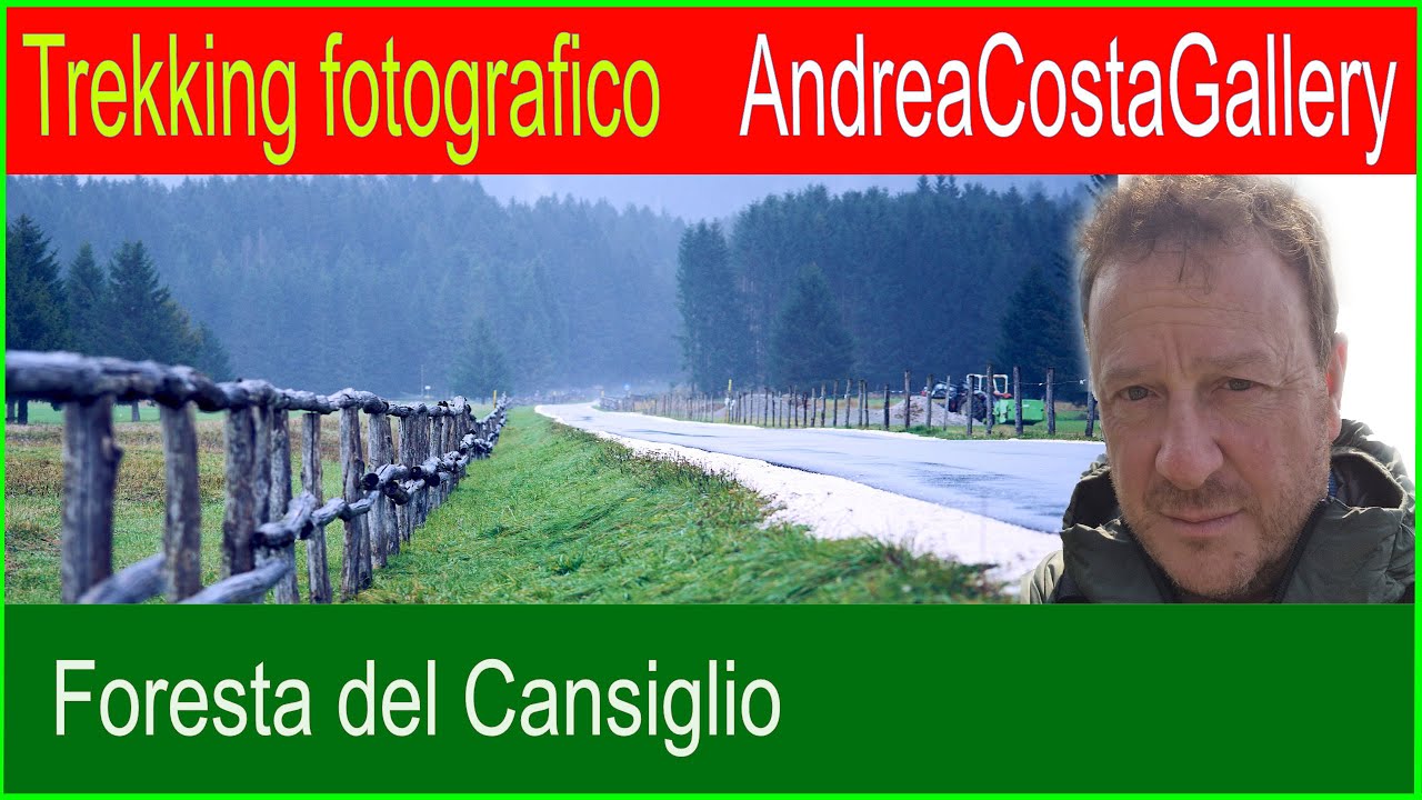 Foresta del Cansiglio. Foliage.