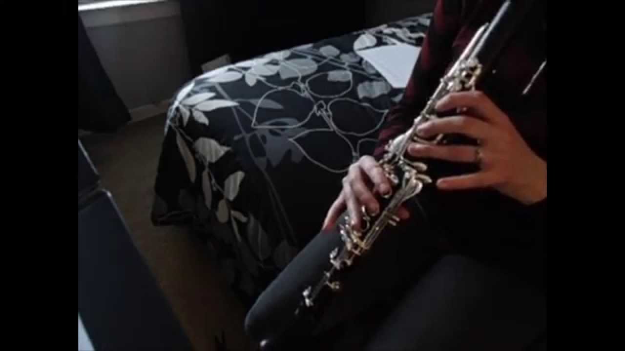 The Lion Sleeps Tonight (Clarinet Cover)