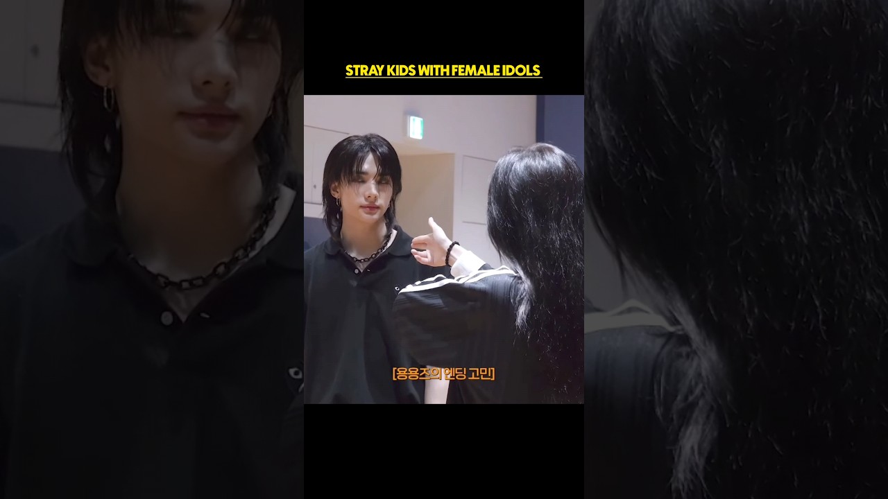 stray kids with female idols 