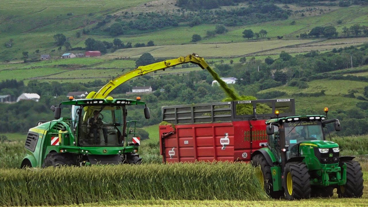 Lyons Contracts | Wholecrop Rye Harvest 2022 | 11 Tractors - 1 Harvester