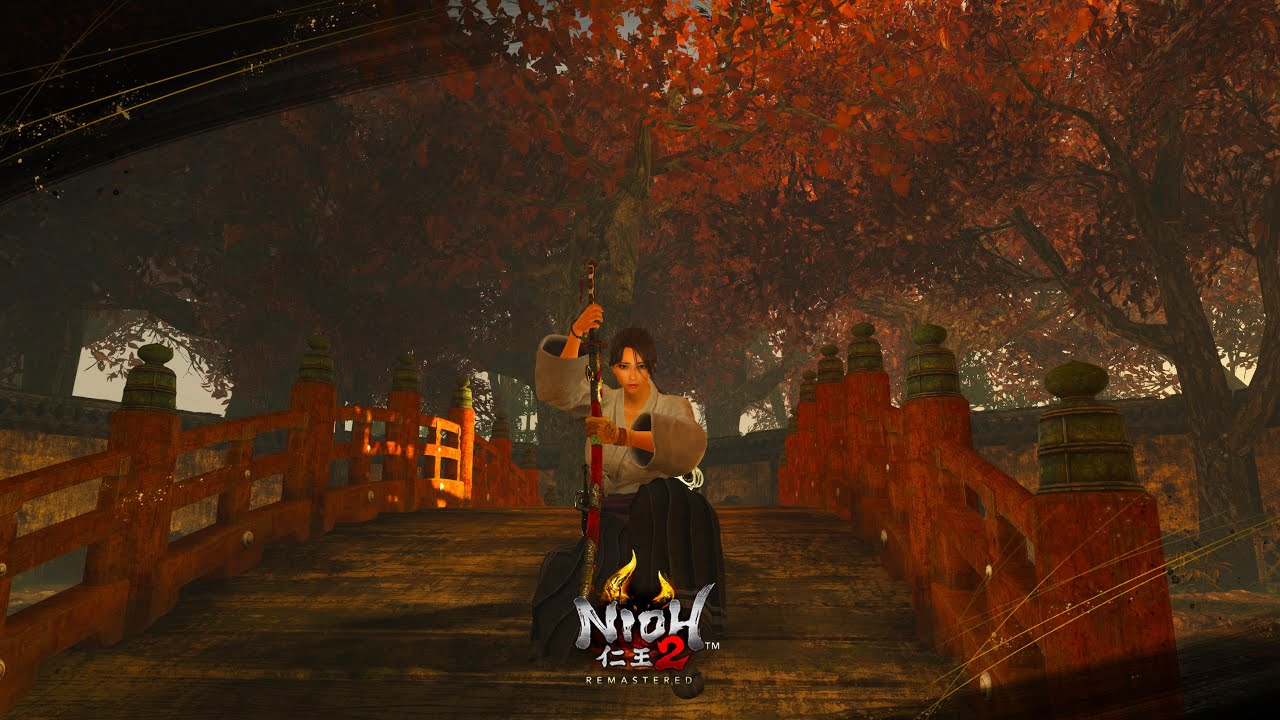 Nioh 2｜2nd Anniversary Video｜Combo MAD｜兩周年紀念影片！仁王2，生日快樂ヾ(≧▽≦*)o