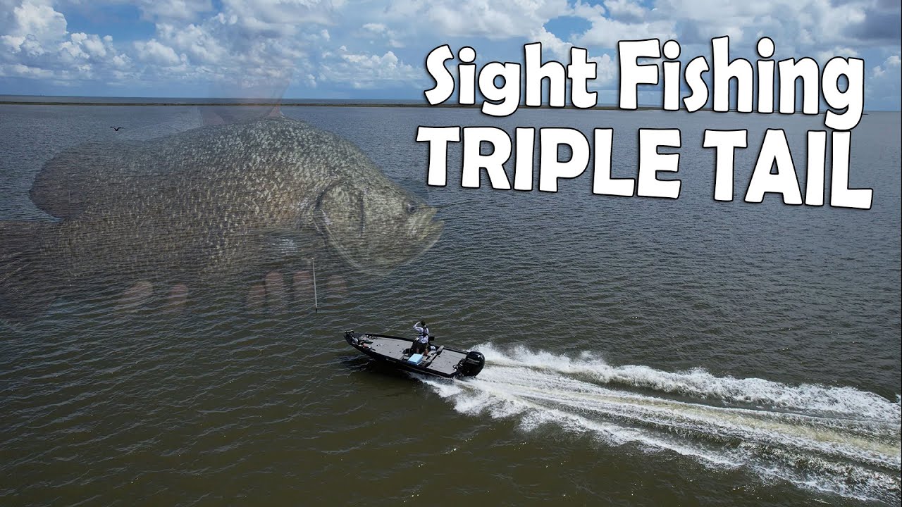 Catching Triple Tail In Mississippi Sound & Biloxi Marsh