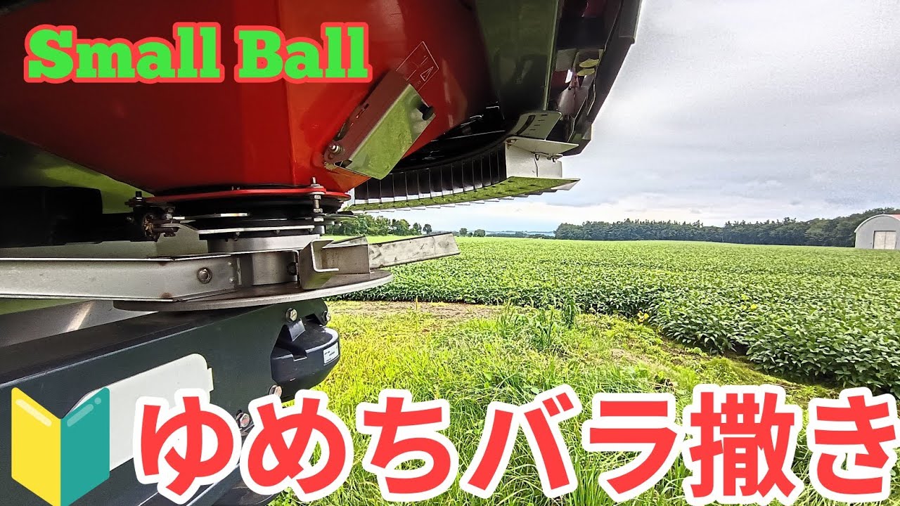 初体験！ゆめちからバラ撒き