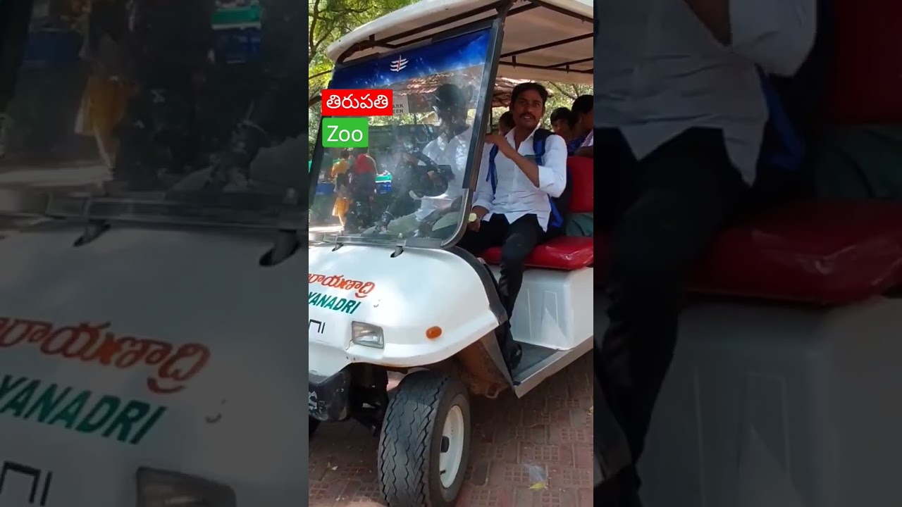 Tirupati Zoo, Battery car Journey