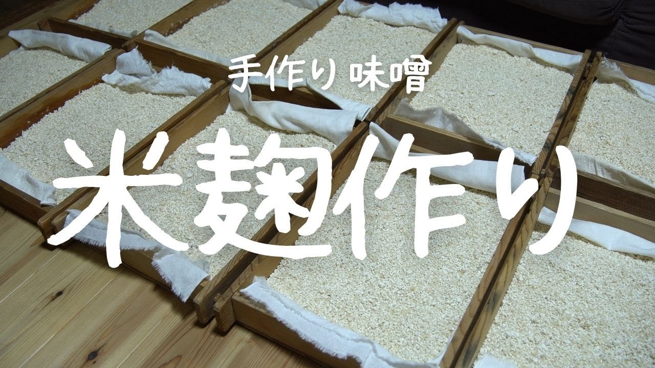 手作り味噌 米麹作り編 / Make handmade Miso - Make rice koji(malt)