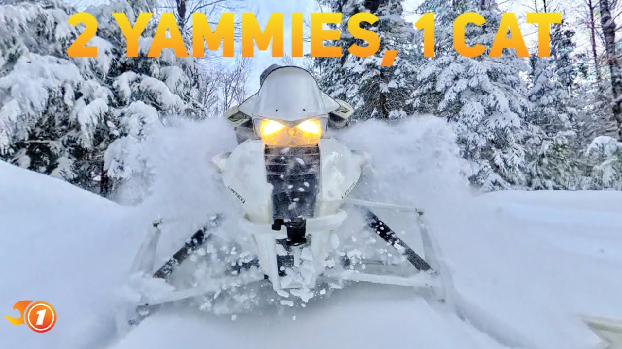 2 Yammies 1 Cat tackle the fresh snow in the Shakedown ride.