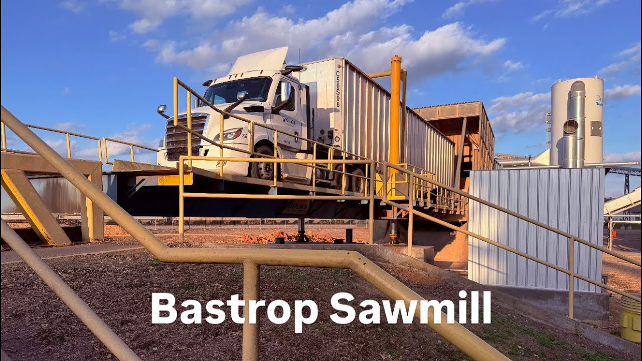 Shavings From Georgia-Pacific Sawmill.