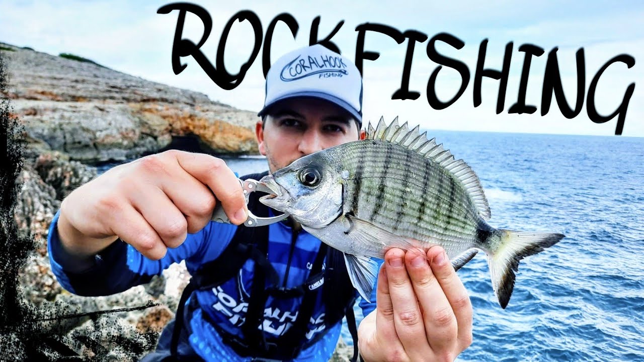 PESCANDO con NUEVOS VINILOS de DARTING a ROCKFISHING desde acantilados [ESPECIAL NAVIDAD🎄🎅🏻]