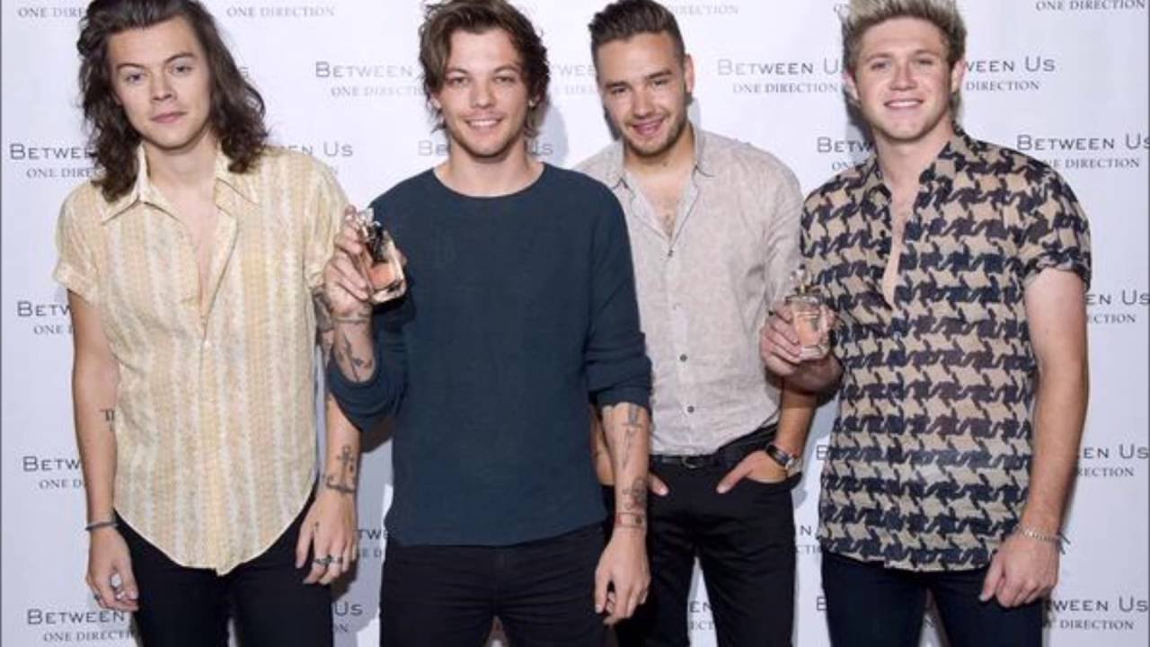 One Direction End of the Day TŁUMACZENIE PL