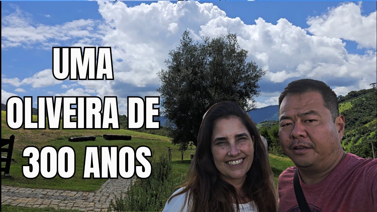 VINTAJANDO 13 - SANTO ANTÔNIO DO PINHAL e Pico DIAMANTE - Campos do Jordão